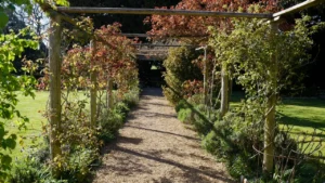 Garden pergola structure standing gracefully on open grass lawn in Oxfordshire backyard